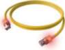 Easylan EasyLan S/FTP DualBoot LED plākstera