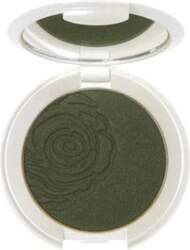 CBN Source Beaute Eyeshadow Compact 51
