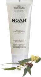 NOAH Noa 5.1. Texturizing Gel