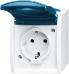 Busch-Jaeger 20 EWN-53 SCHUKO® Steckdose ar