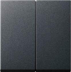 GIRA 029528 Wippe 2f System 55