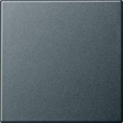 GIRA 029628 Wippe System 55 Anthrazit