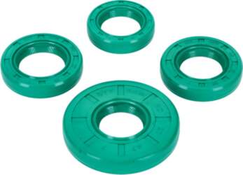 Oil Seals engine Schmitt Evolution FKM