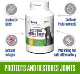 GIGIVET MAX STRONG Joints and Bones