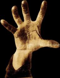 CD System Of A Down –