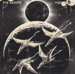 The Ducks – High Flyin`