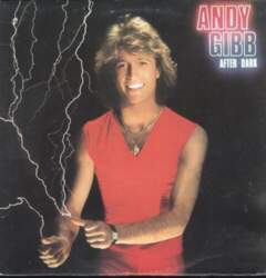 Andy Gibb – After Dark