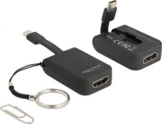 DeLOCK - Externer Videoadapter - RTD2171U