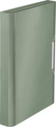 Esselte-Leitz Leitz 39570053 dokumentu mape 250