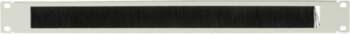 Lanview 1U 19" SIMPLE TYPE, BRUSHED