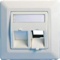 Lanview Wall plate, angled, double
