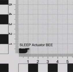 NINTENDO ACT/SLEEP (K1) BEE
