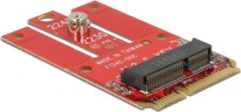 DeLOCK Adapter Mini PCIe M.2