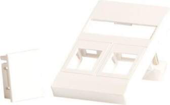Lanview Wall plate for 2 x