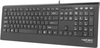 Natec Keyboard, Barracuda, US Layout, Slim