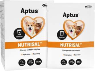 APTUS Nutrisal Hydration - supplements for