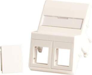 Lanview Wall plate, angled, 2 x