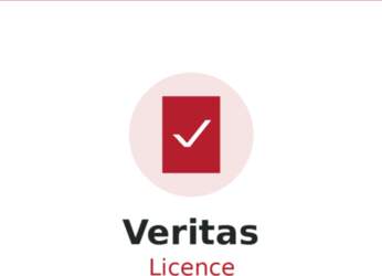 Veritas Essential Support - Technischer Support