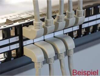 DeLOCK - Patch-Kabel - RJ-45 (M)