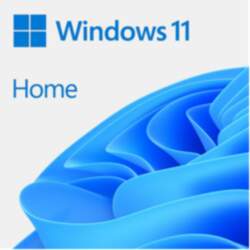 Microsoft Windows 11 Home 1 licence(-s)