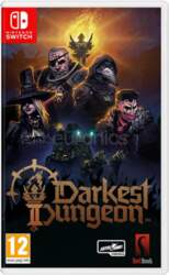 Skybound Darkest Dungeon 2, Nintendo Switch