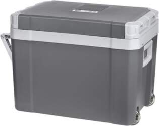 TEESA Travel Refrigerator with Heating Function