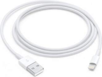Apple Lightning to USB Cable (1m)