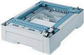 Epson C12C802211