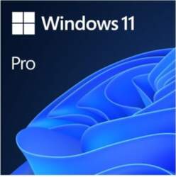 Microsoft (OEM) Microsoft Windows 11 Pro