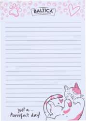BALTICA Notebook