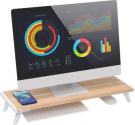 Techly ICA-MS 389 monitor mount /