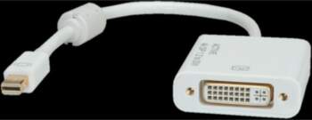 ROLINE - Display-Adapter - Dual Link