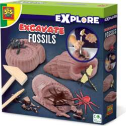 TRUST SES Creative Explore Excavate fossils