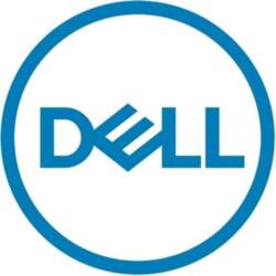 DELL 461-AAEN Trusted Platform Modules modulis