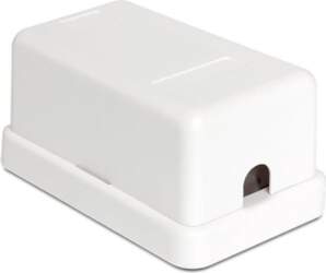 DeLOCK Keystone Surface Mounted Box -