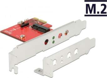 DeLOCK - Speicher-Controller - M.2