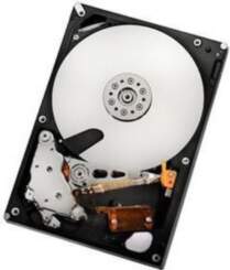 HGST 2TB SATAII 32MB, RAID