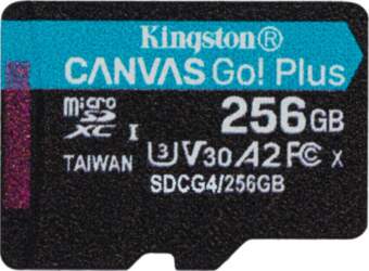 Kingston Technology Canvas Go! Plus 256
