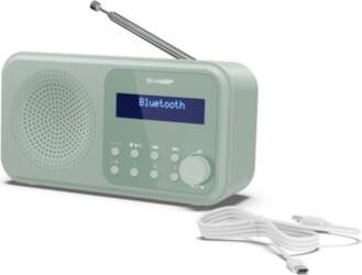 Sharp Tokyo Digital Radio | DR-P420(GN)