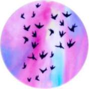 ILike Universal Pop Holder Bird
