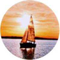 ILike Universal Pop Holder Sunset