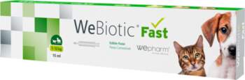 WEPHARM WeBiotic Fast pasta, 15 ml