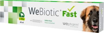 WEPHARM WeBiotic Fast pasta, 60 ml