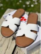 Seastar Iešļūcenes