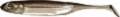 FISH ARROW FLASH J SHAD 4