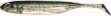 FISH ARROW FLASH J SHAD 4"