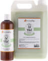 Dezynadog Shampoo Magic Formula 1St Aid