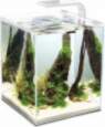 Akvārijs Aqua El Shrimp Set Smart
