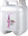 Iv San Bernard Protective Shield Conditioner