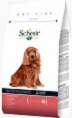 SCHESIR MEDIUM MAINTENANCE with HAM -